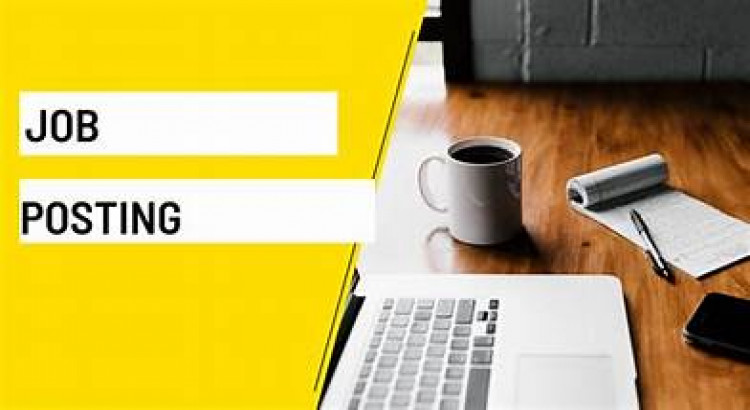 Web development and Mobile Application development